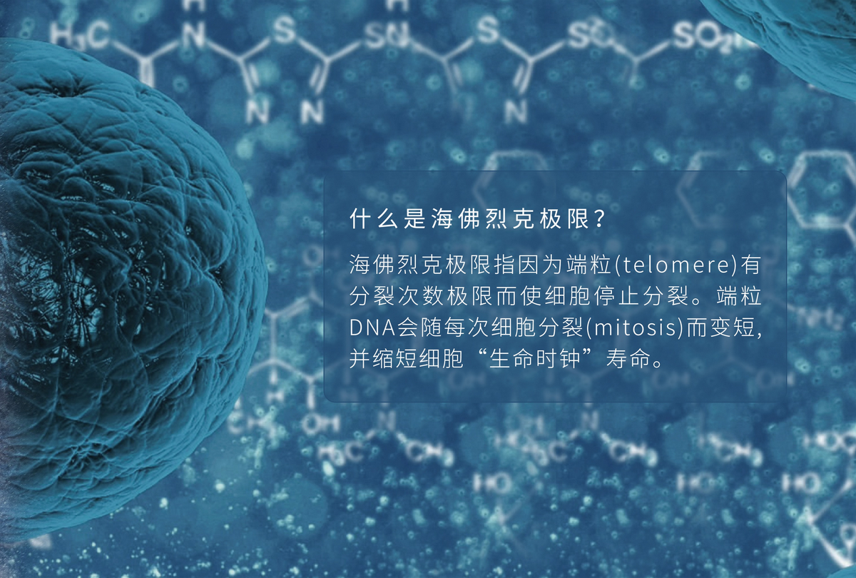 图片3_缩小大小.png